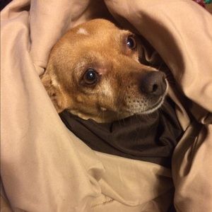 Meet your Posher, Daniela